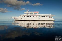 Turks & Caicos - Luxury Aggressor Liveaboard. Scuba diving holiday.